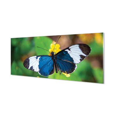 Acrylglasbilder Bunter schmetterling auf blumen