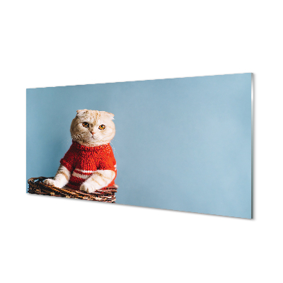 Acrylglasbilder Katze sitz