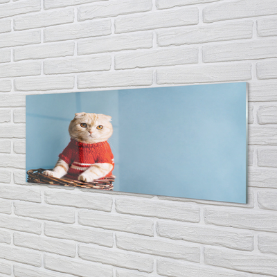 Acrylglasbilder Katze sitz