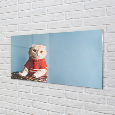 Acrylglasbilder Katze sitz