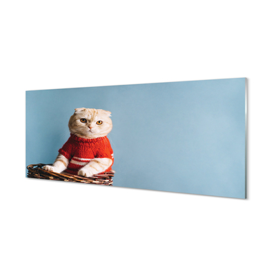 Acrylglasbilder Katze sitz