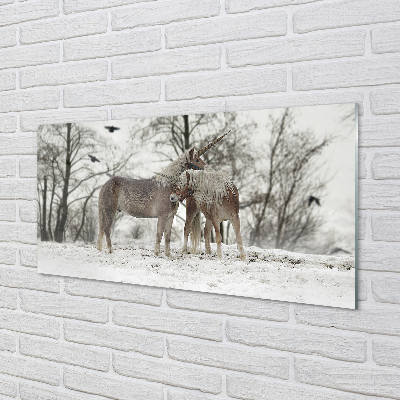 Acrylglasbilder Unicorns winterwald