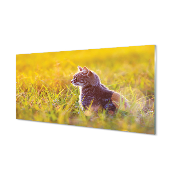 Acrylglasbilder Jagd katze