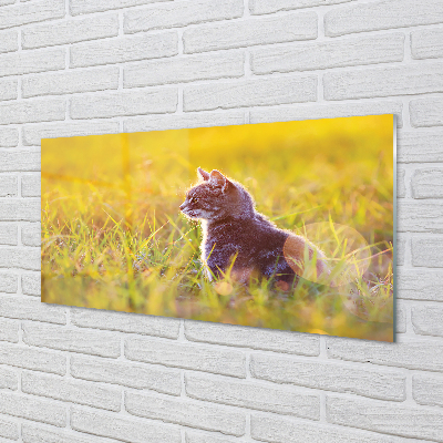 Acrylglasbilder Jagd katze