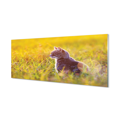 Acrylglasbilder Jagd katze