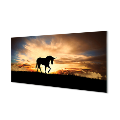 Acrylglasbilder Sonnenuntergang einhorn