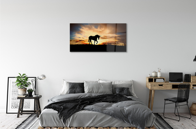 Acrylglasbilder Sonnenuntergang einhorn