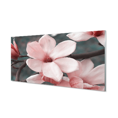 Acrylglasbilder Pinke blumen