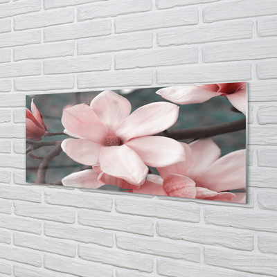 Acrylglasbilder Pinke blumen