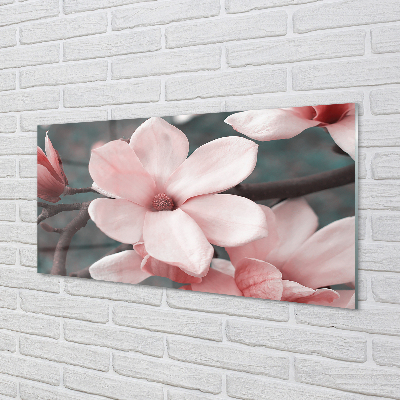 Acrylglasbilder Pinke blumen