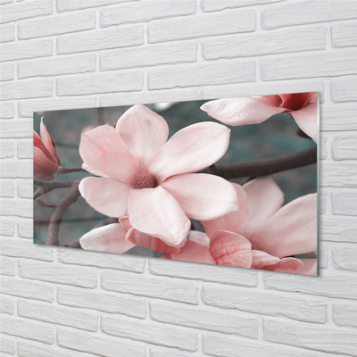 Acrylglasbilder Pinke blumen