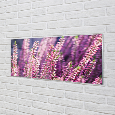 Acrylglasbilder Blumen