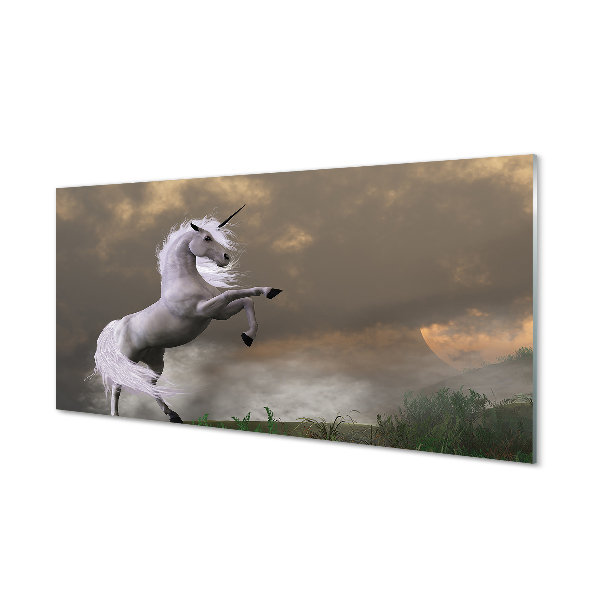 Acrylglasbilder Top-einhorn