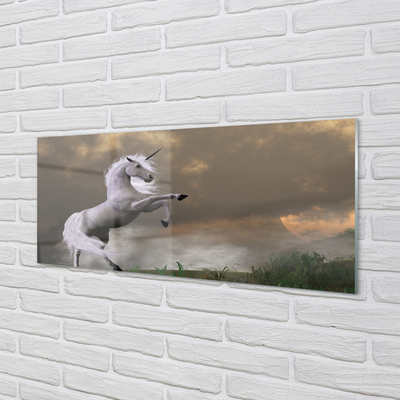 Acrylglasbilder Top-einhorn