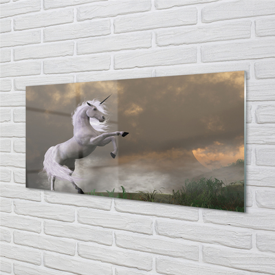 Acrylglasbilder Top-einhorn