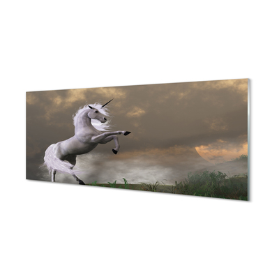 Acrylglasbilder Top-einhorn