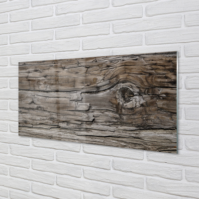 Acrylglasbilder Holzäste töpfe
