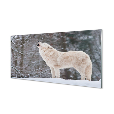 Acrylglasbilder Loup winterwald