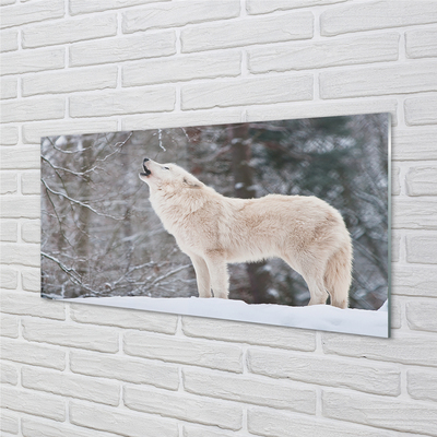 Acrylglasbilder Loup winterwald