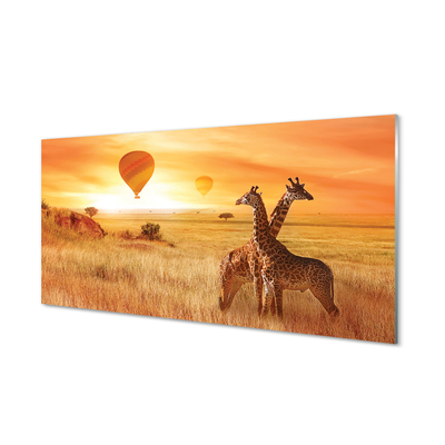 Acrylglasbilder Ballon-himmel-giraffe