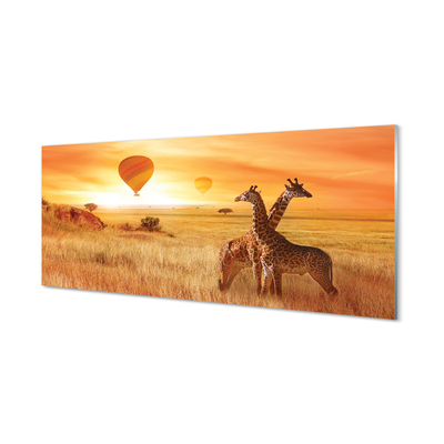 Acrylglasbilder Ballon-himmel-giraffe