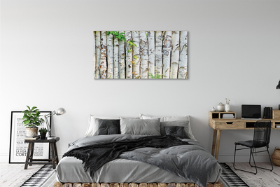 Acrylglasbilder Birkenblätter