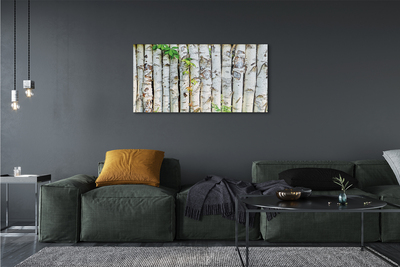Acrylglasbilder Birkenblätter