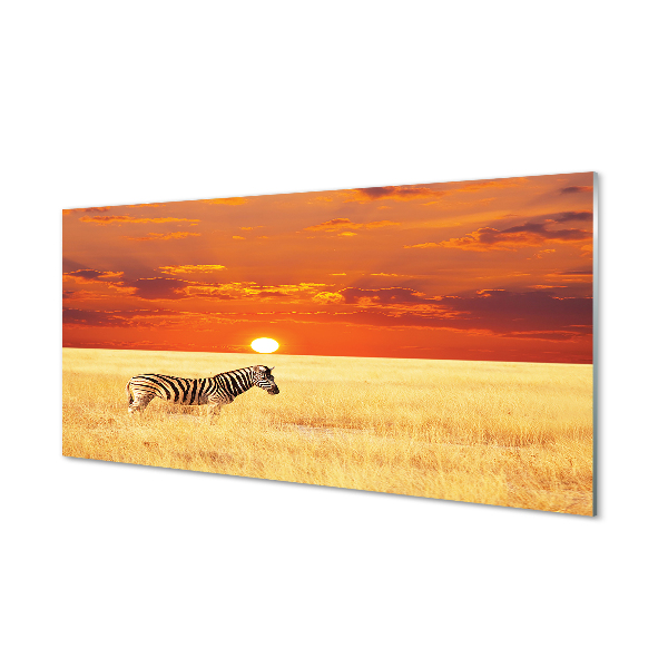 Acrylglasbilder Zebra sonnenuntergang feld