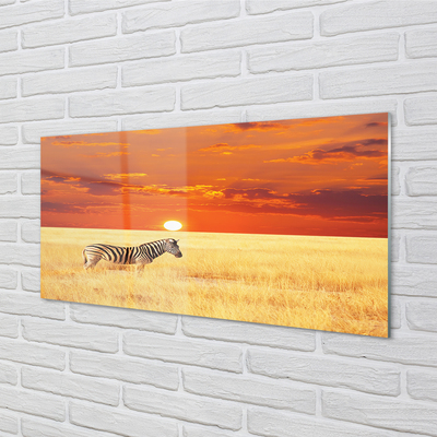 Acrylglasbilder Zebra sonnenuntergang feld