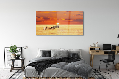 Acrylglasbilder Zebra sonnenuntergang feld