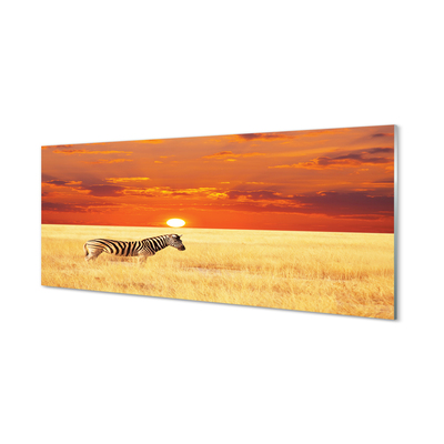 Acrylglasbilder Zebra sonnenuntergang feld