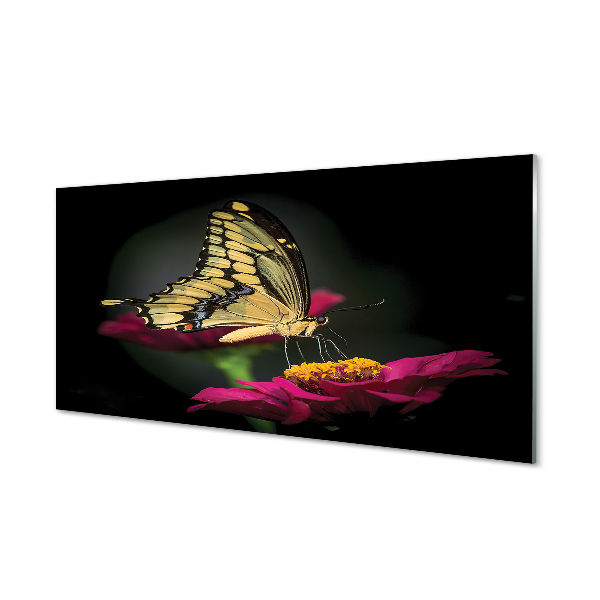 Acrylglasbilder Schmetterling auf blume