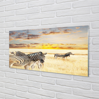 Acrylglasbilder Sonnenuntergang auf dem feld zebra