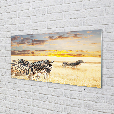 Acrylglasbilder Sonnenuntergang auf dem feld zebra