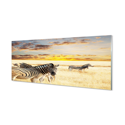 Acrylglasbilder Sonnenuntergang auf dem feld zebra