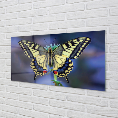 Acrylglasbilder Schmetterling auf blume