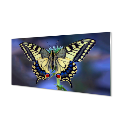 Acrylglasbilder Schmetterling auf blume