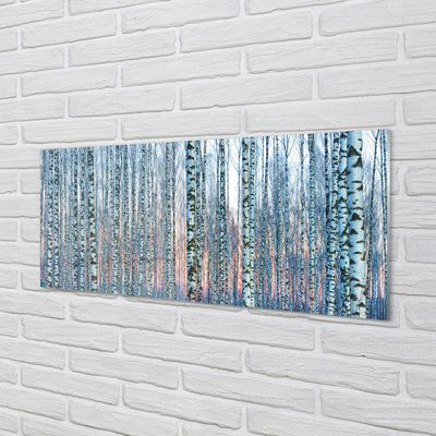 Acrylglasbilder Sonnenuntergang der birkenwald