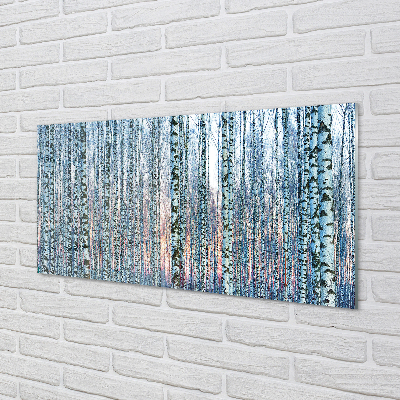 Acrylglasbilder Sonnenuntergang der birkenwald