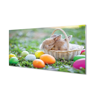 Acrylglasbilder Eier kaninchen