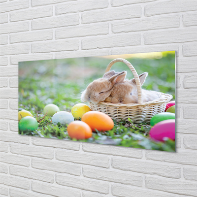 Acrylglasbilder Eier kaninchen