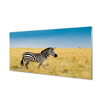 Acrylglasbilder Zebra-box