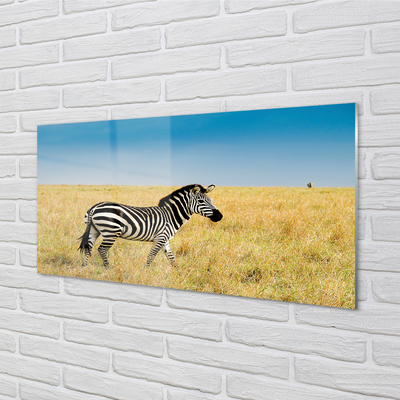 Acrylglasbilder Zebra-box