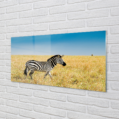 Acrylglasbilder Zebra-box