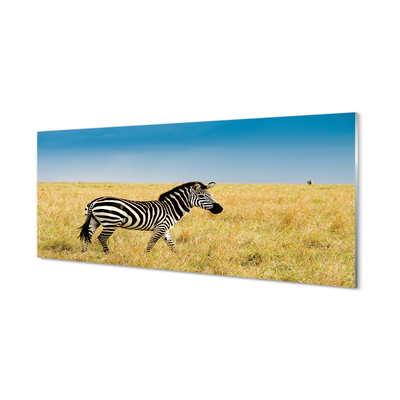 Acrylglasbilder Zebra-box