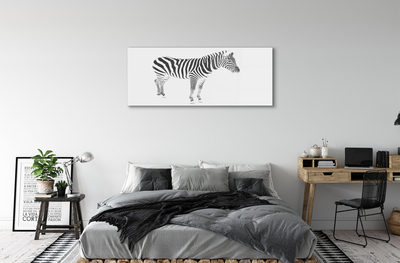 Acrylglasbilder Painted zebra