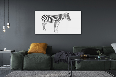 Acrylglasbilder Painted zebra