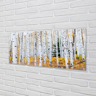 Acrylglasbilder Herbst birke