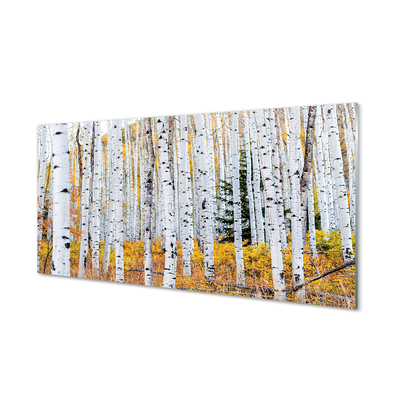 Acrylglasbilder Herbst birke