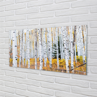 Acrylglasbilder Herbst birke